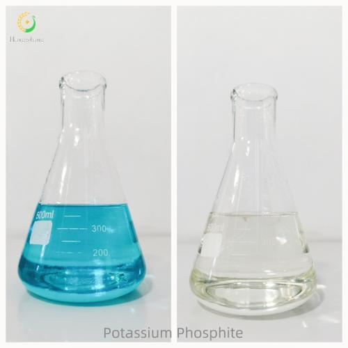 Potassium Phosphite