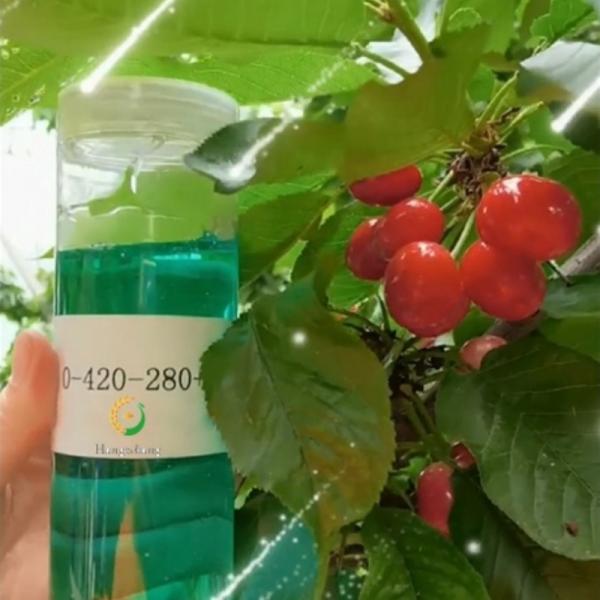 Phosphite K Fosfito de Potássio